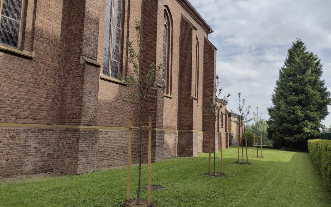 Aktion “Kirchengrün” an St. Maternus – Eine-Welt-Gruppe Rodenkirchen