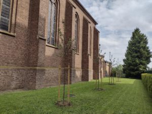 Frau Ehlers, Caritas Pflanzteam