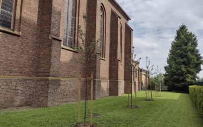 Akti­on “Kir­chen­grün”  an St. Mate­r­nus –  Eine-Welt-Grup­pe Rodenkirchen