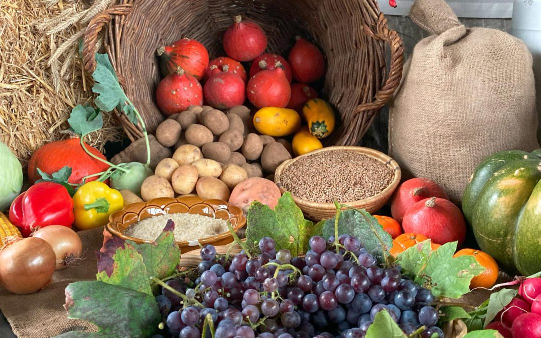 Impuls